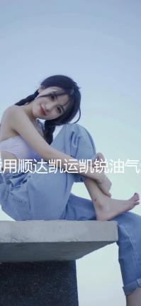 適用順達(dá)凱運(yùn)凱銳油氣分離器廢氣閥電磁閥順達(dá)凱運(yùn)油氣分離器配件