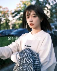 金針菇31段dsp汽車功放機(jī)4聲道四路車載無損音響大功率音頻處理器