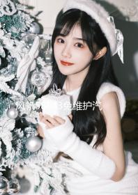 風(fēng)帆58043免維護(hù)汽車電瓶80AH適配奧迪寶馬奔馳路虎神行者發(fā)現(xiàn)者