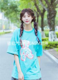 駱駝汽車(chē)電瓶AGM啟停蓄電池80ah適配凱迪拉克別克君威雪佛蘭奔馳