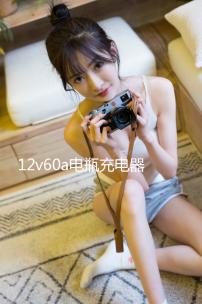 12v60a電瓶充電器汽車摩托車充電機(jī)全銅24v通用快速大功率蓄電池